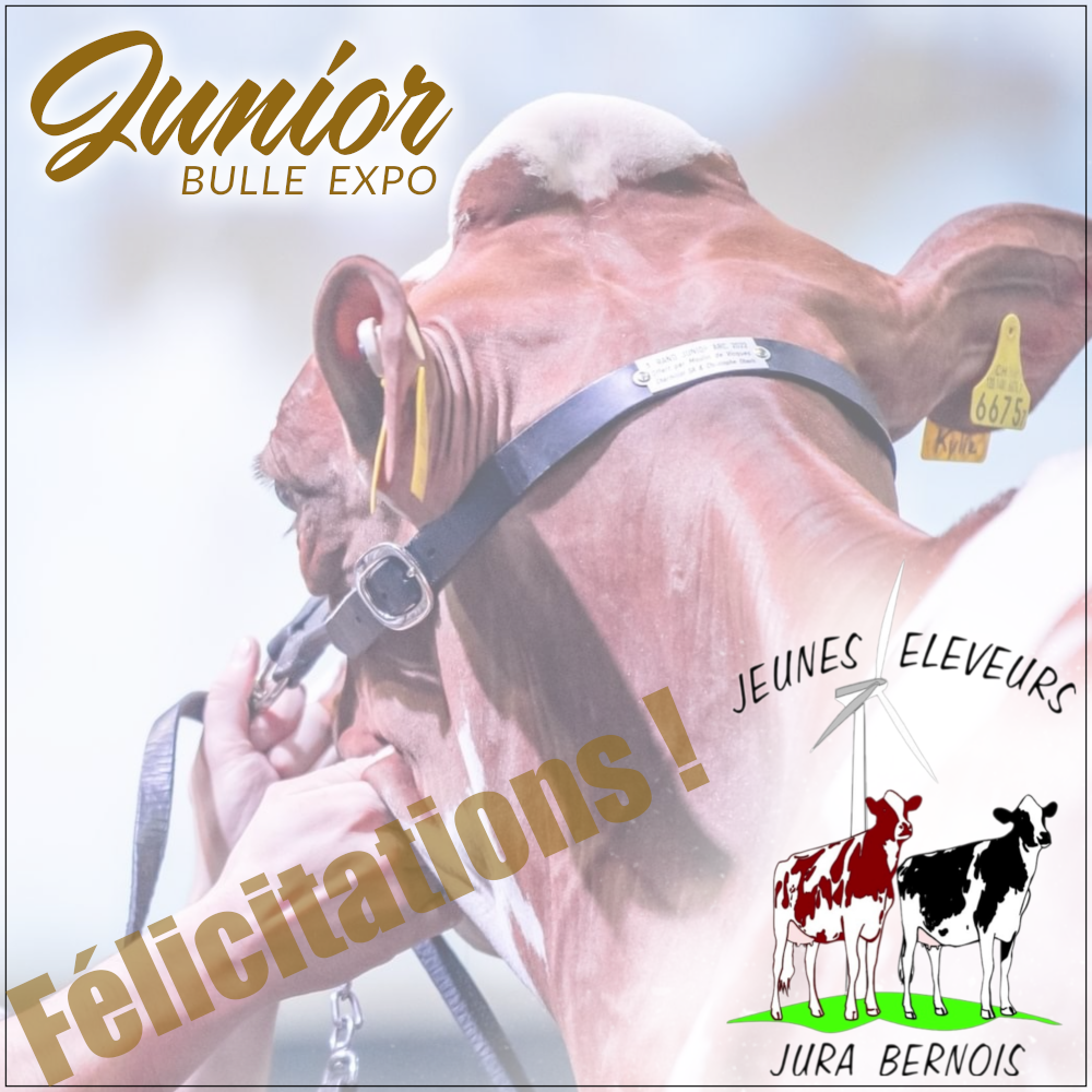 JEJB Instagram Junior Bulle Expo Félicitations Site Internet