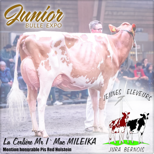 JEJB Instagram Junior Bulle Expo La Cerlière Mr IMac MILEIKA Site Internet
